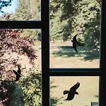 Vakantiehuis Kauperhaus Burg (Spreewald)