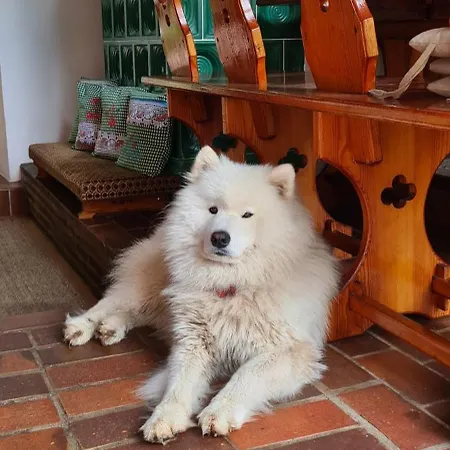 度假居 Kauperhaus 布尔格