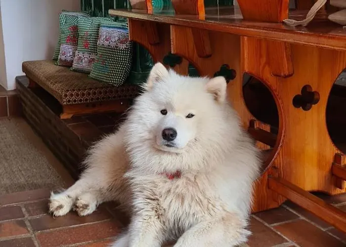 Σπίτι διακοπών Kauperhaus Burg (Spreewald)