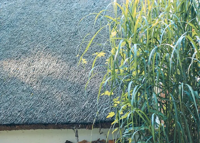 Kauperhaus Σπίτι διακοπών Burg (Spreewald)